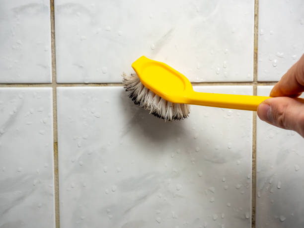 Best Mold Damage Repair  in Ivins, UT