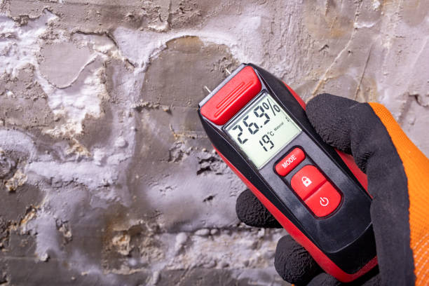 Best Mold Removal Near Me  in Ivins, UT