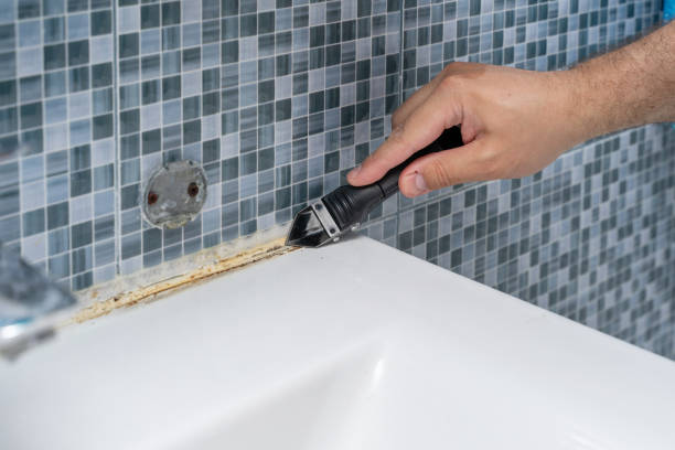 Best Professional Mold Removal  in Ivins, UT